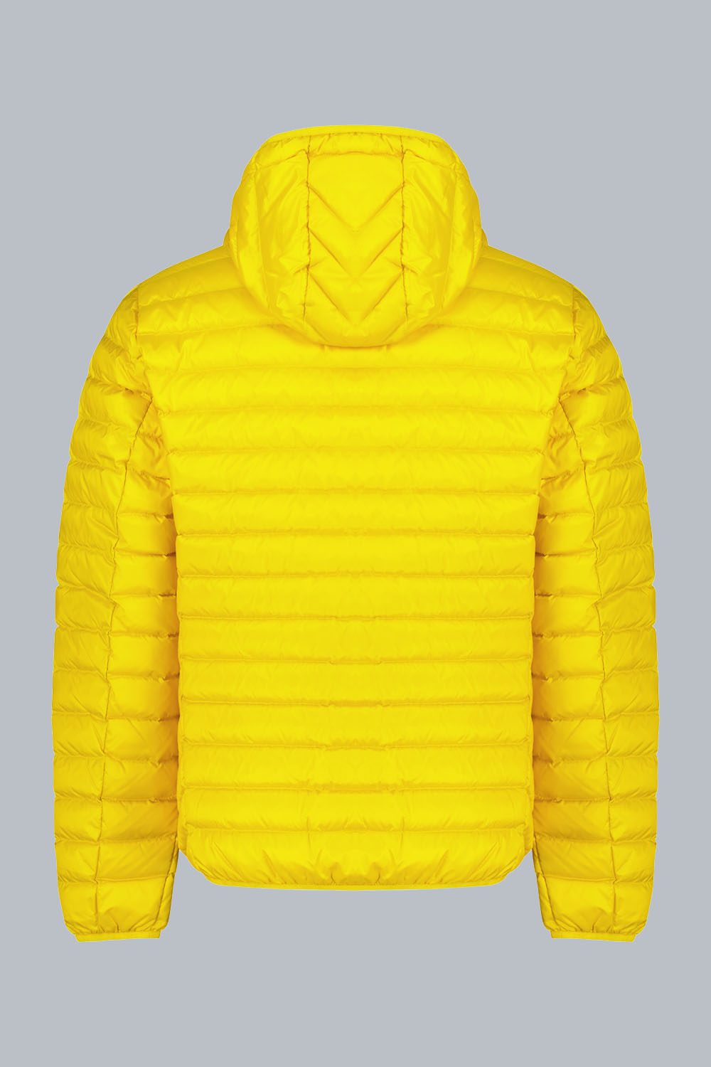 ciesse-piumini-franklin-2-0-daunenjacke-gelb-800fp image 6