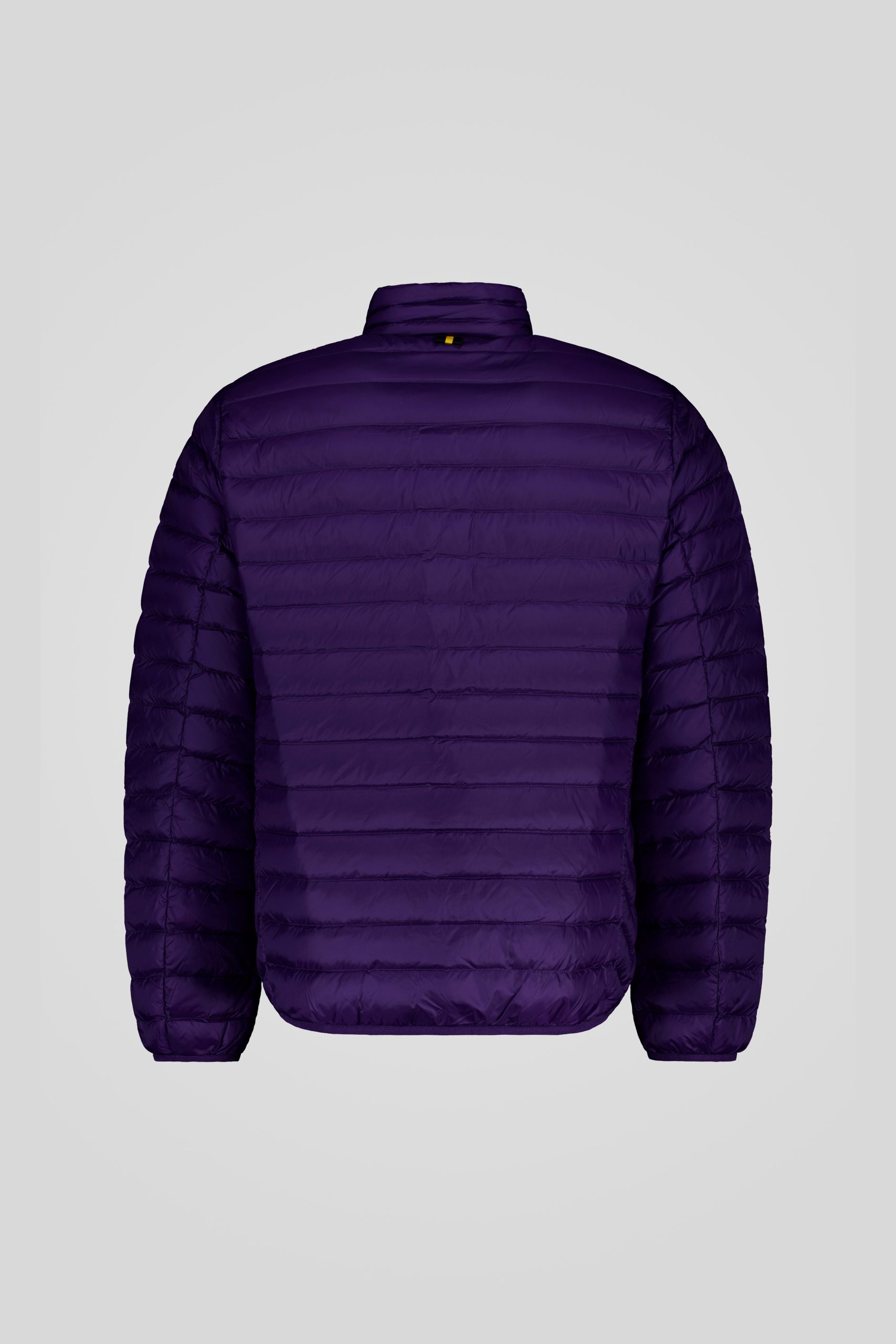 ciesse-piumini-daunenjacke-violett-ohne-kapuze-800fp image 6