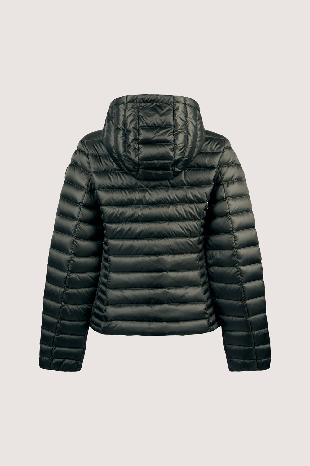 ciesse-outdoor-aghata-2-0-daunenjacke-damen-milit-rgr-n-800-fill image 6