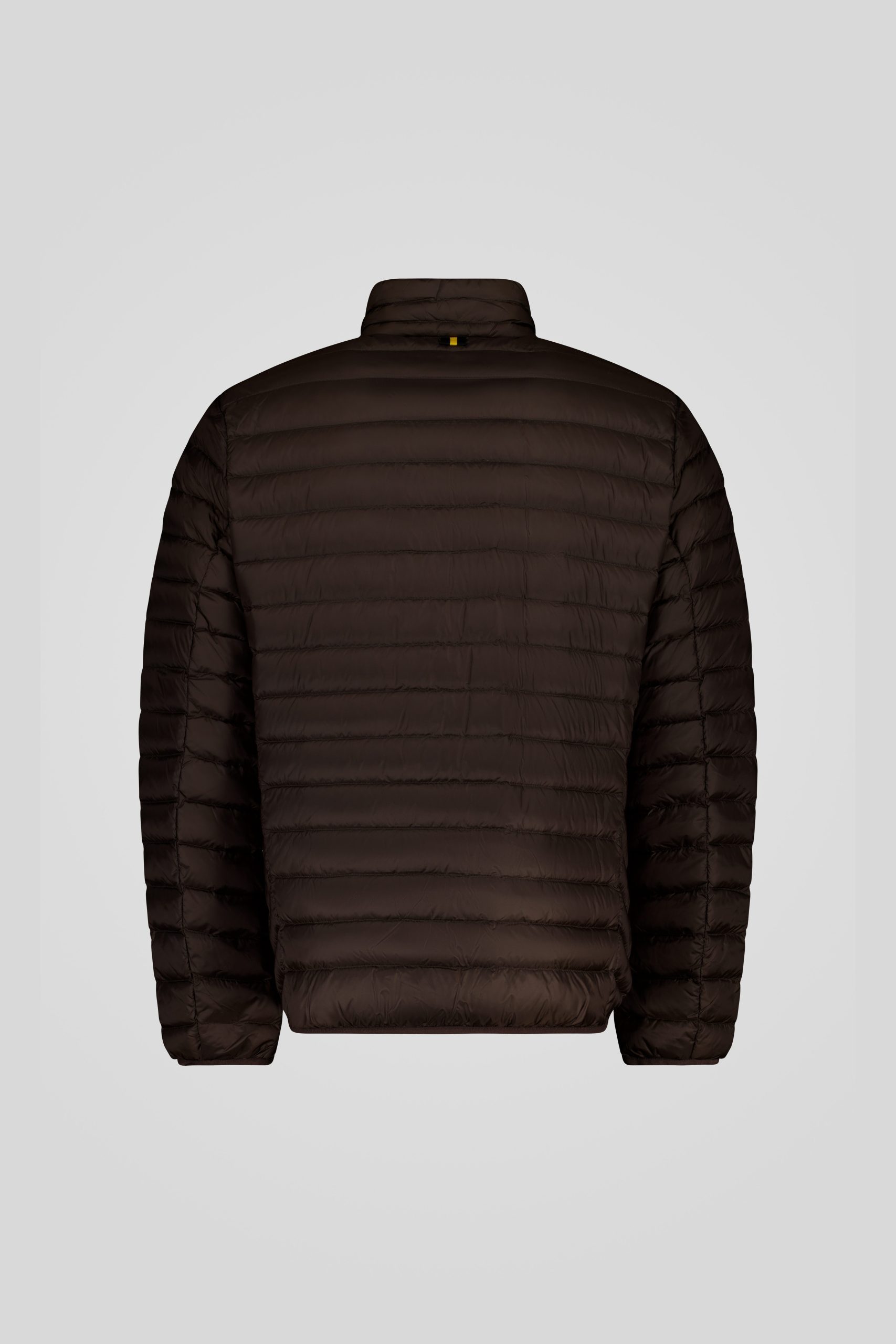 ciesse-outdoor-piumini-daunenjacke-braun-ohne-kapuze-leicht image 5