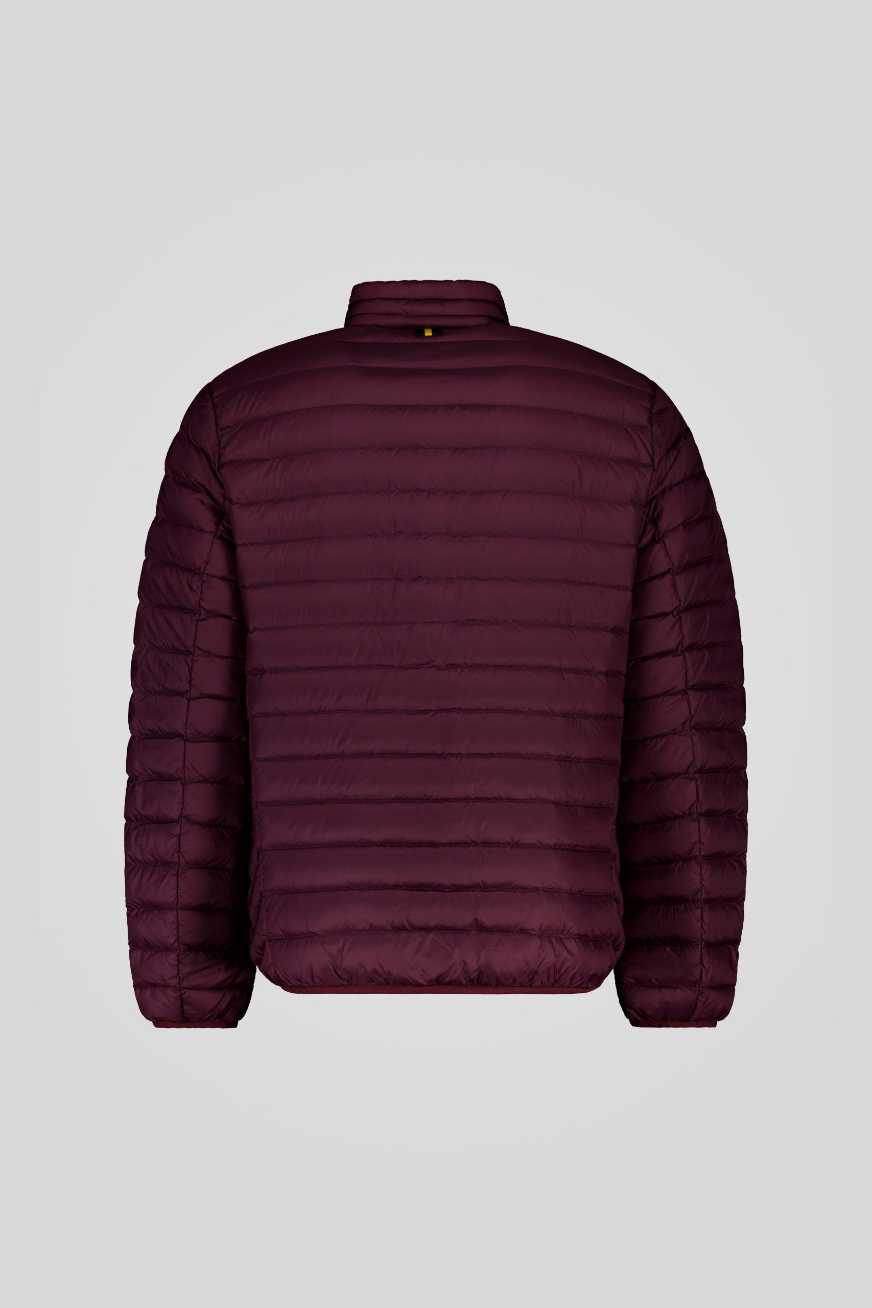 ciesse-outdoor-piumini-daunenjacke-mahagoni-ohne-kapuze-800fp image 6