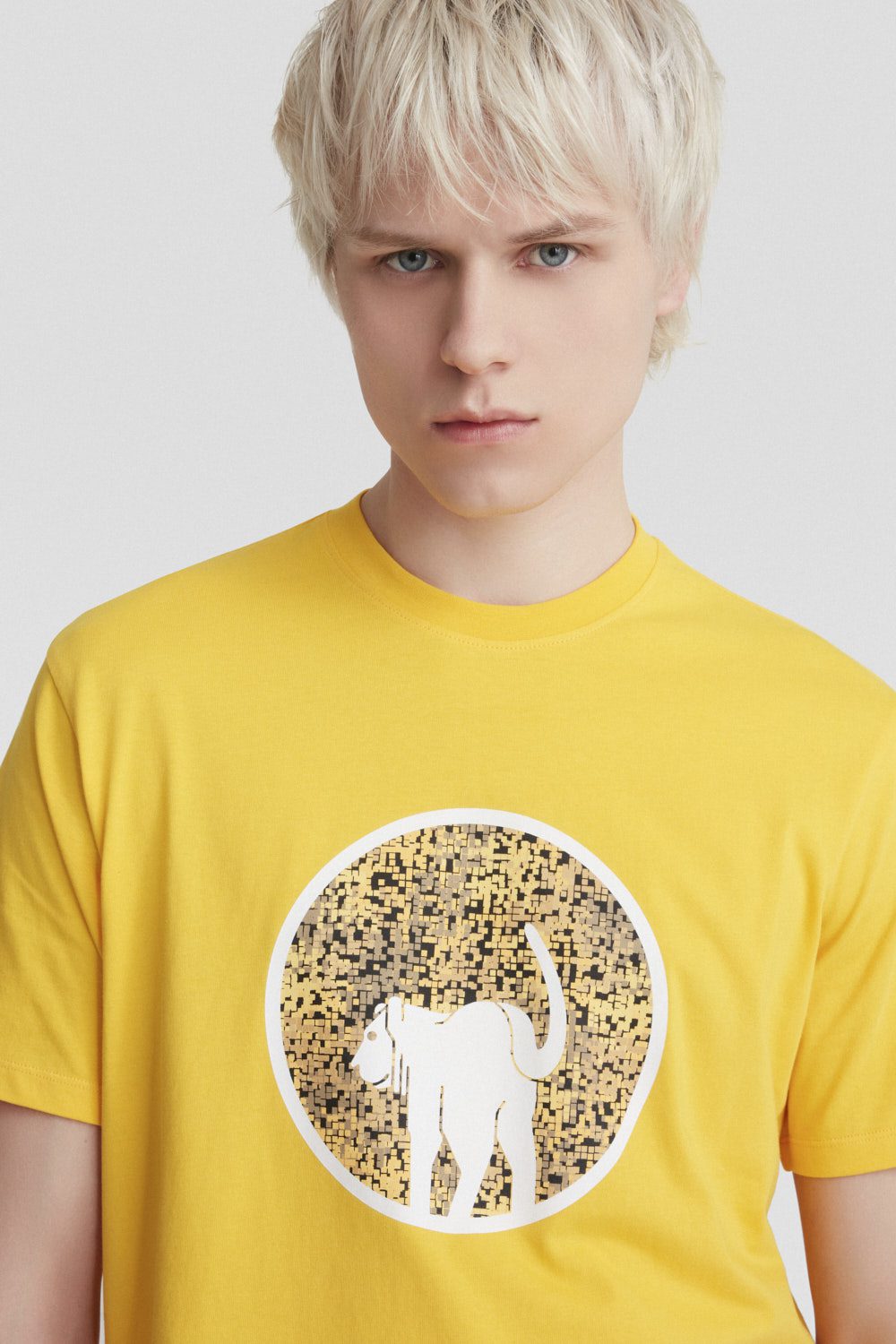 ciesse-outdoor-t-shirt-gelb-baumwolle-rundhals-mit-print image 6
