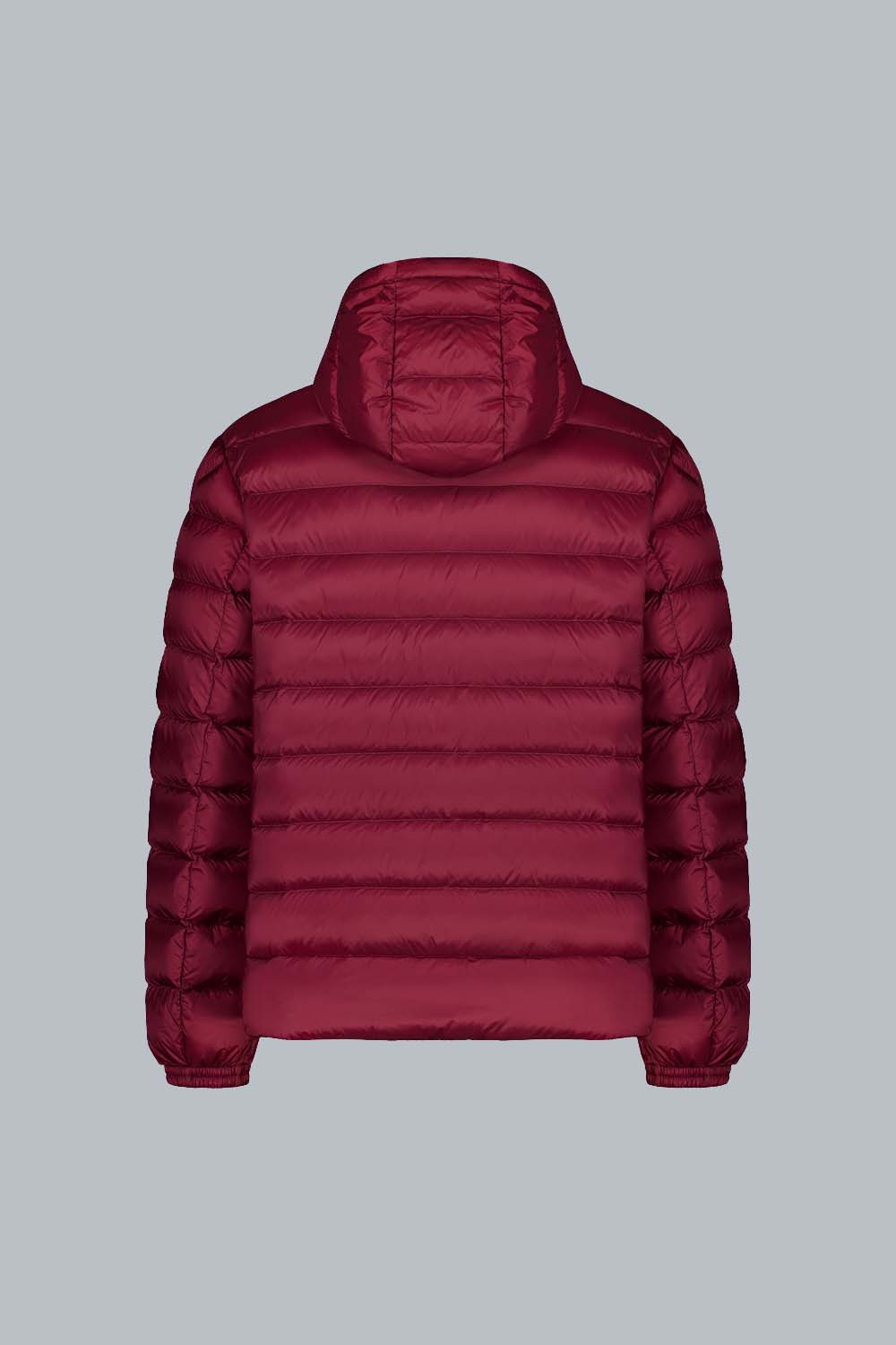 ciesse-outdoor-ned-daunenjacke-bordeaux-800-fill-power image 2