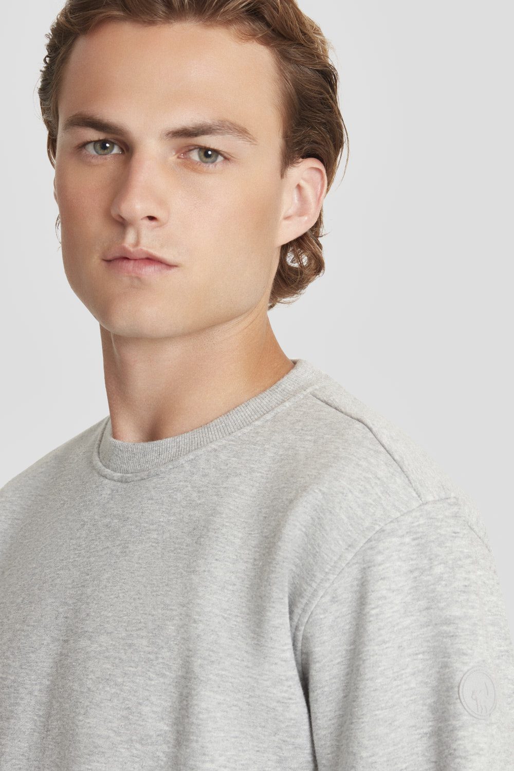 ciesse-sweatshirt-grau-rundhals-baumwollmix-regular image 3