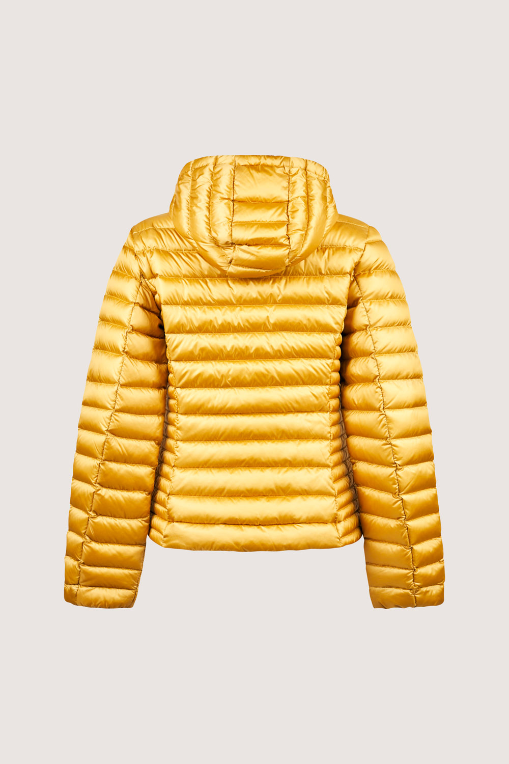 ciesse-outdoor-aghata-2-0-daunenjacke-gelb-800 image 6