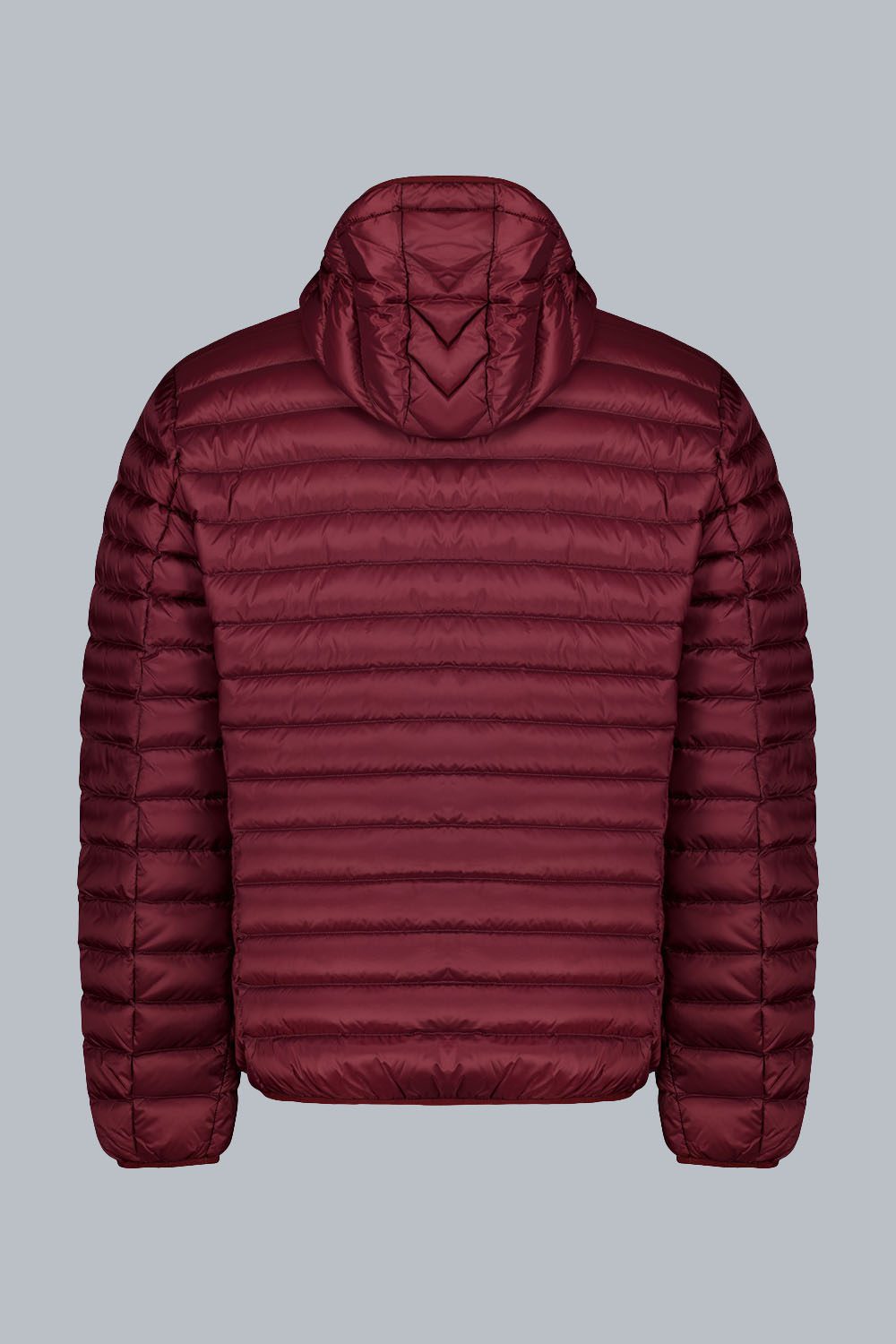 ciesse-piumini-franklin-2-0-daunenjacke-rot-800-fill image 2